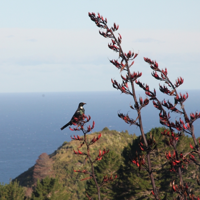 SUMMER STAY AT OFF-PEAK PRICE!